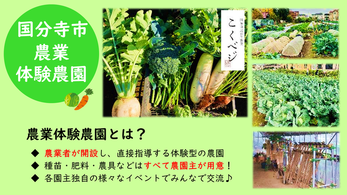 国分寺市農業体験農園