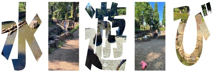 窪東公園のi池・川の画像