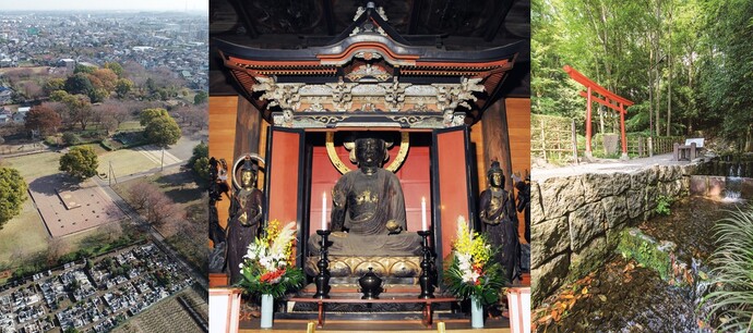 史跡武蔵国分寺跡・薬師如来坐像・お鷹の道・真姿の池湧水群の写真