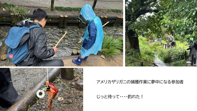 アメリカザリガニの捕獲作業に夢中になる参加者。じっと待って・・・・釣れた！