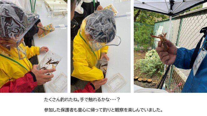 たくさん釣れたね。手で触れるかな？参加した保護者も童心に帰って釣りと観察を楽しんでいました。