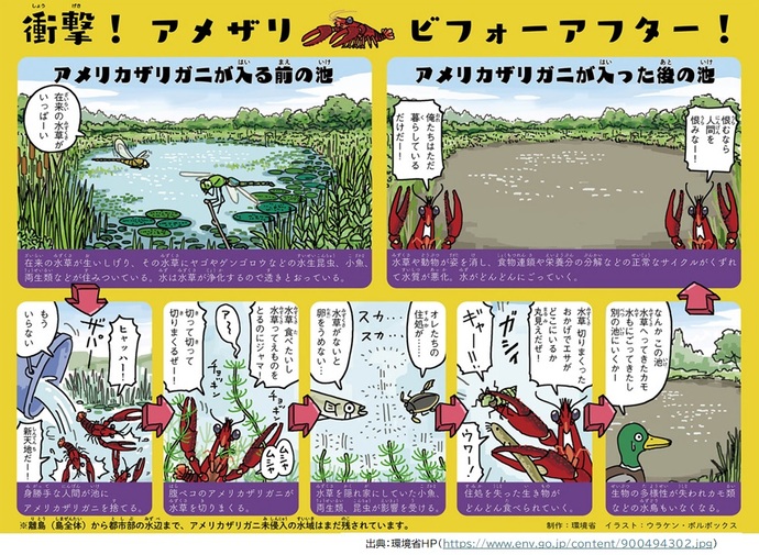 環境省_衝撃!アメザリ ビフォーアフター