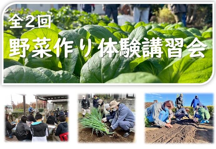 収穫体験付き野菜作り体験講習会（初心者向け）