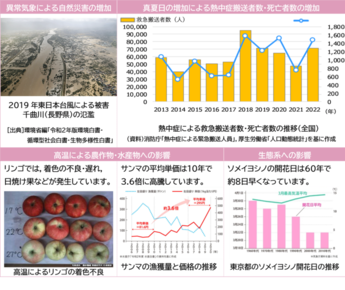日本において既に現れている地球温暖化の影響例