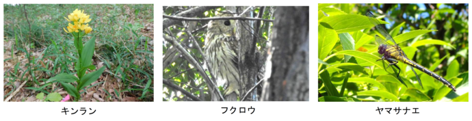 令和5年度動植物調査の写真