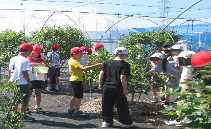 地域の資源をいかした学習