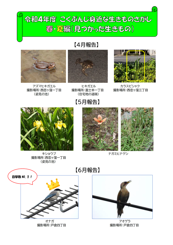 生きものさがし春・夏編