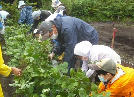 過去の講座の様子。畑で子どもたちと講師が農作業をしている。