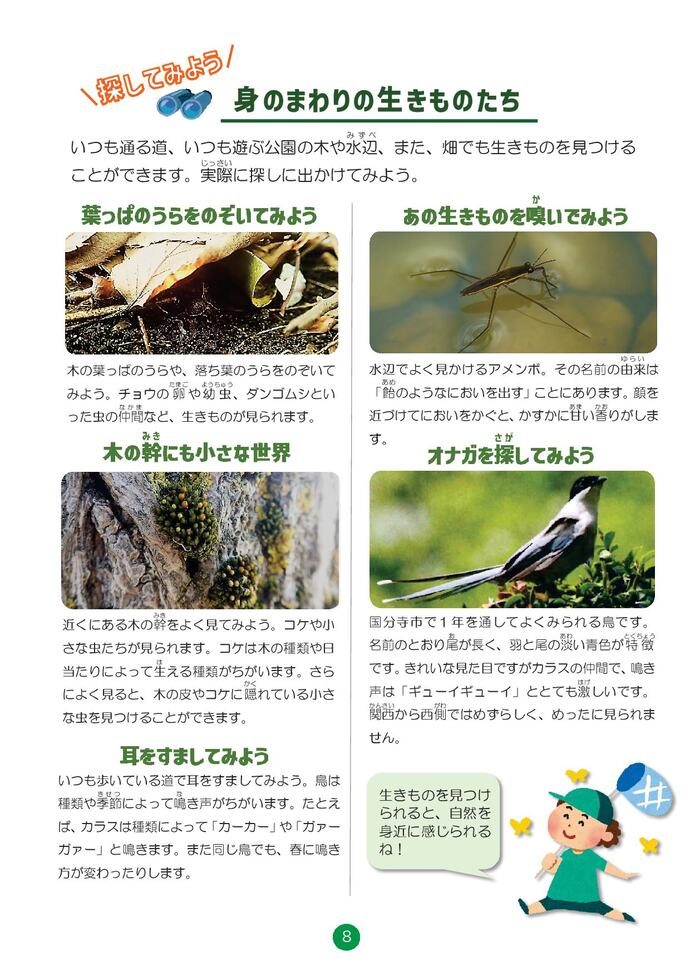 探してみよう　身のまわりの生きものたち