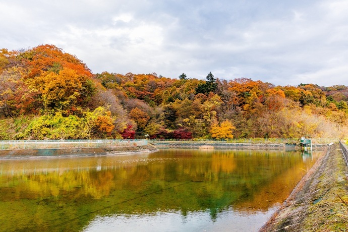 谷戸沢の紅葉